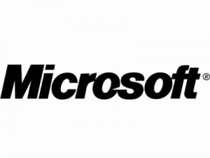 米マイクロソフト（Microsoft、MS）社製ブラウザー「インターネット・エクスプローラー（Internet Explorer、IE）」で見つかったセキュリティ上の欠陥により、ハッカーが侵入する可能性