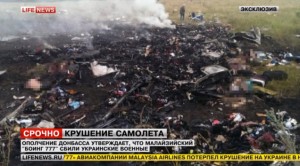 LifeNewsで放送された墜落現場の模様