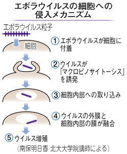 エボラ熱の流行による非常事態宣言
