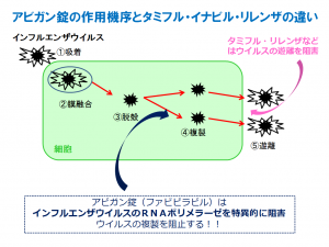 インフルエンザ治療薬「ファビピラビル」