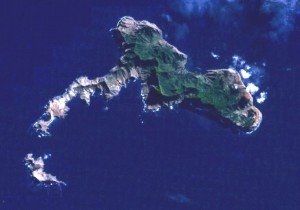後にロビンソン・クルーソー島と名付けられた島（ファン・フェルナンデス諸島の島）