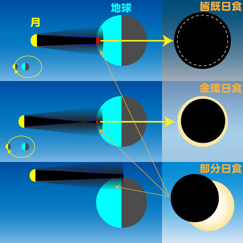 皆既日食、金環日食、部分日食の違い図の外側の左側に外側デッカイ太陽が有ると思って見て下さい出典:www.city.himeji.lg.jp