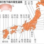 【農水省】豚伝染病で「特別防疫地域」＝9月マニュアル策定