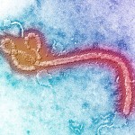 【エボラ出血熱】感染者２万人超の恐れ＝ＷＨＯが対策行程表